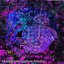 Interfacing/Universal-Code
