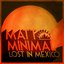 Lost in Mexico - Single