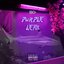 Purple Lean