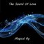 Magical Fly - Single