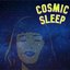 Cosmic Sleep