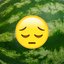 Sadboi Watermelon Party