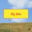 Big Idea