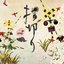 指切り