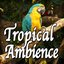 Tropical Ambience (Nature Sounds)