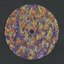 Workhorse Supply - EP