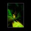 I Fear I Am Being Washed Away - Single