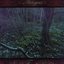 Night Forest Reality