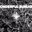 Wonderful Sunlight