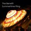 Summertime Fling (feat. Levi Driskell)