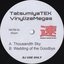 TatsumiyaTEK VinylizeMegas