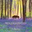 Wildflowers