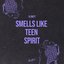 Smells Like Teen Spirit