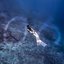 Photographer and Diver 0.6 (with Sunho Lee) - Single