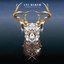 Fabriclive 46