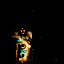 Starlit Flame II