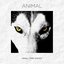 Animal - Single