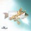 Fishy - Single