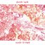 Made to Rust [Explicit]