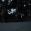 Peony • Kernel Hope - Single