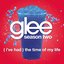 (I've Had) The Time Of My Life [Glee Cast Version] - Single