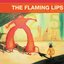 Yoshimi Battles the Pink Robots