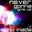 Never Gonna Give Up EP