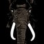 Don't Buy Ivory Anymore! The Music of Henri Texier