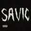 Savic 2.5
