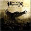 Tear Of Phoenix
