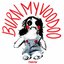 Burn My Voodoo - Single