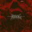 Mirrors Of My Damnation - Single
