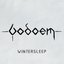 Wintersleep - EP