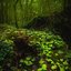 Celtic Zen Meditation: Flute Music & Healing Sounds of Nature