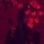 Why Do Flowers Mean Love?