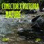 Colombian Meditations