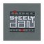 Citizen Steely Dan (disc 4)