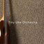 Tiny Uke Orchestra