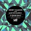 Torrent