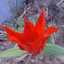 Avatar für bwbw216