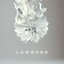 Lowborn (Instrumental)