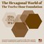 The Hexagonal World of The Twelve Hour Foundation
