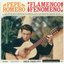 Flamenco Fenomeno