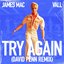 Try Again (David Penn Remix)