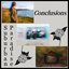 Conclusions - EP