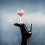 Pink Champagne