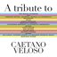 A Tribute To Caetano Veloso