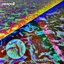 Synaesthesia