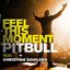 Feel This Moment (feat. Christina Aguilera)