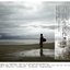 今天 许巍2002-2008生活作品集